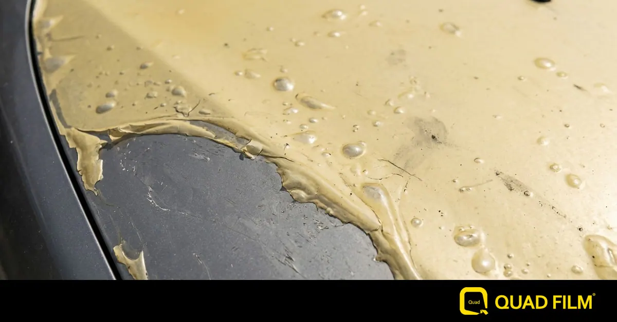 Cheap PPF hydrolysis in Malaysia showing yellowed sticky film peeling off a car bonnet under the sun.