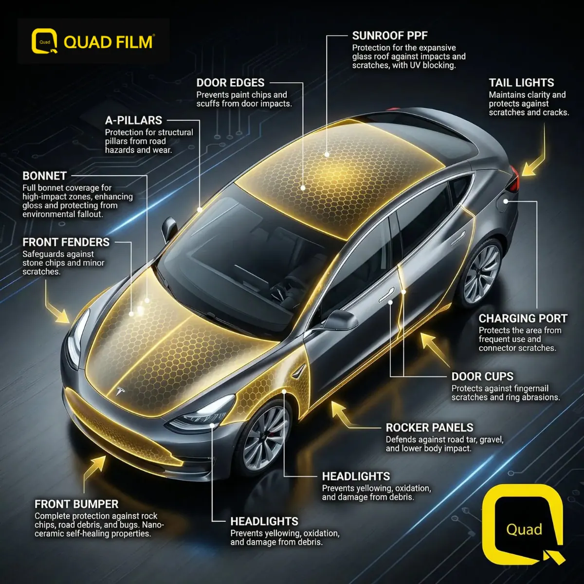 PPF for electric car coverage zones diagram showing body panels and panoramic sunroof areas